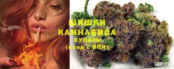 сатива Арсеньев